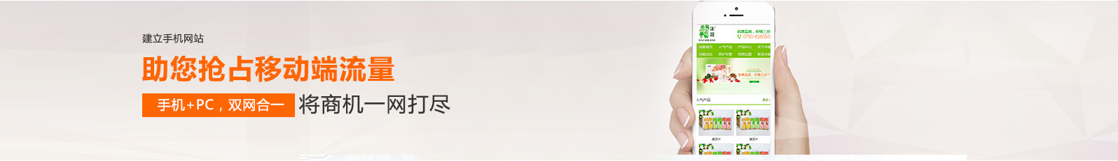 11.png 11.png